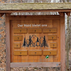 singold-bote_waldlehrpfad-schwabegg_047.jpg