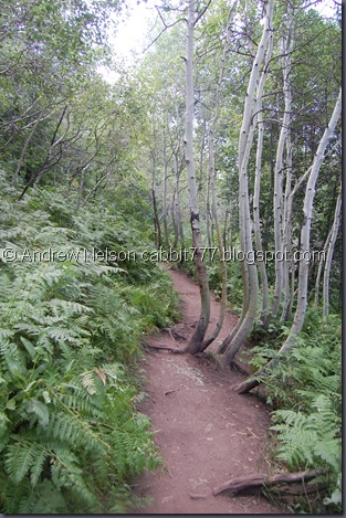 DSC_0052 DSC_0052