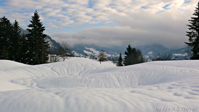 [2012_01_11%2520RundUmDenPeternhof19%255B3%255D.jpg]