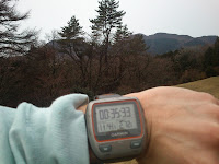 DSC_0077.JPG Photo