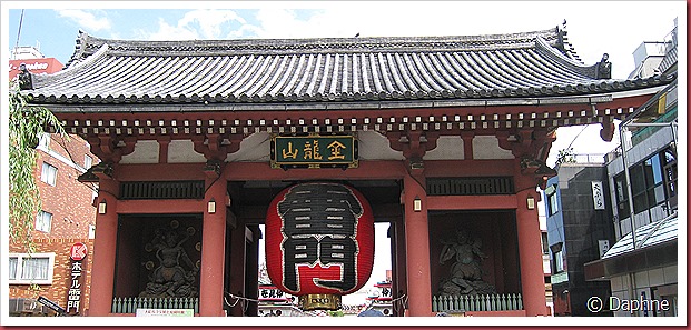 IMG_4013 IMG_4013