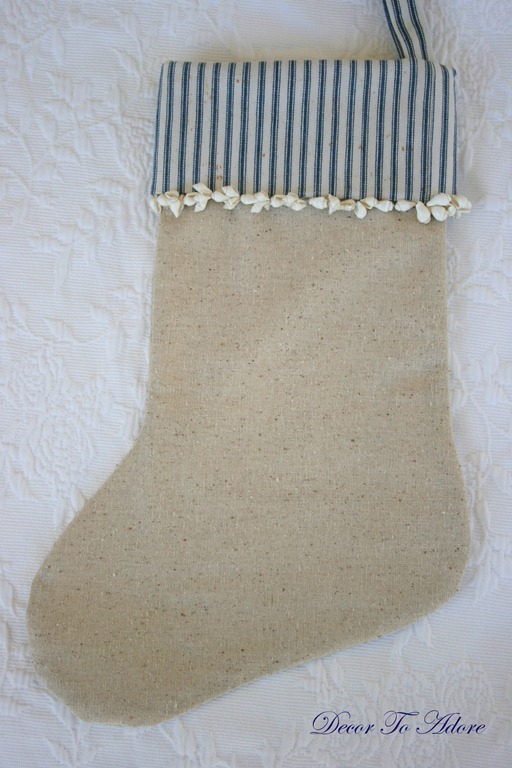 seashells 047-1