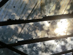 Dockville 2011