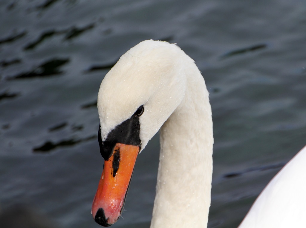 [IMG_9327%255B5%255D.jpg]