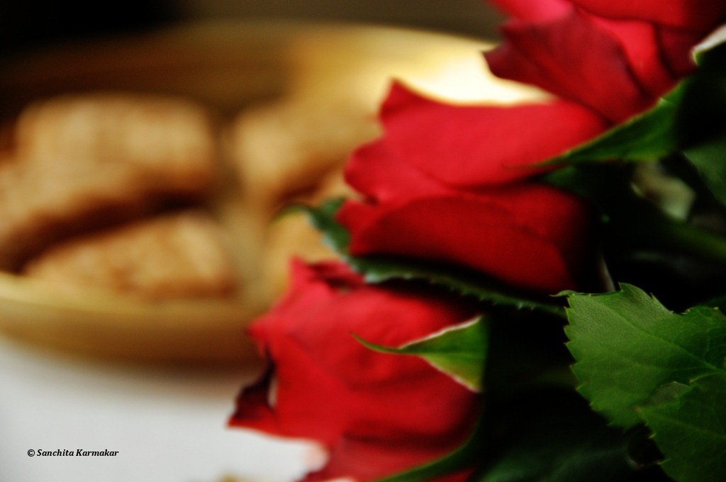 [DSC_0009%255B3%255D.jpg]
