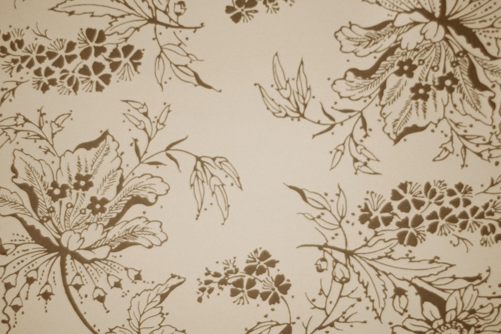 [Texture%255B5%255D.jpg]