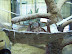 National Zoo in August