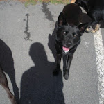 DSCN4693.jpg