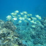 Maui - November 25, 2005