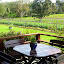 Or Maybe A Picnic At Cullen Winery Has A Better View - Margaret River, Australia