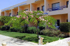 Фото 7 Dessole Cataract Sharm Resort