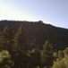 View album