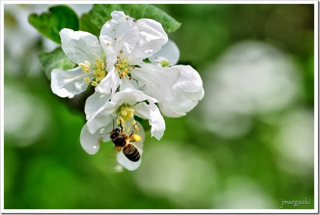 DSC_5010 DSC_5010