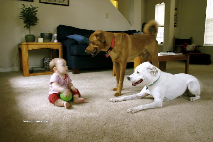 So Sweet Photos : You will smile for sure