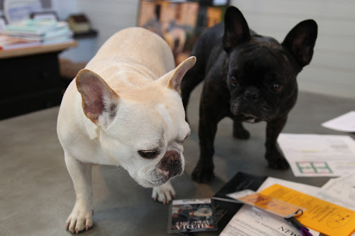 Franny, I'm one step ahead of you!  I found the special press passes in the kitchen!