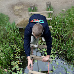Bevers_Splinter_2011_023.jpg