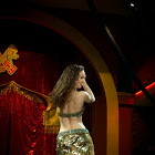 Имя документа33_337.jpg