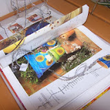 b5.jpg