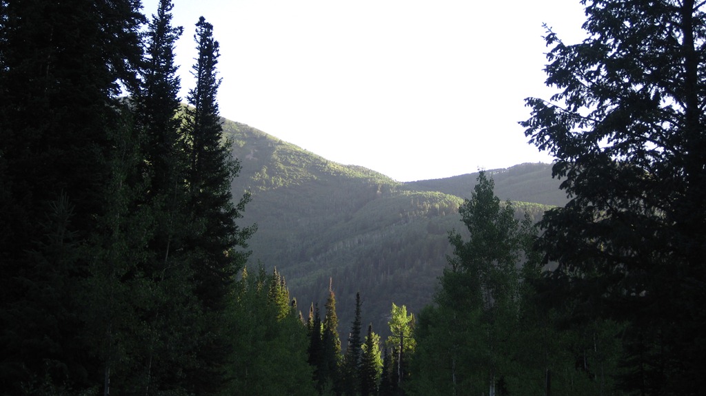 [IMG_4376%255B11%255D.jpg]