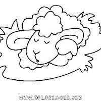 4coloriage_mouton.jpg