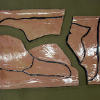 CIMG2602.JPG