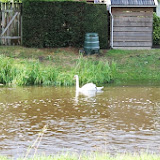 IMG_3479.jpg