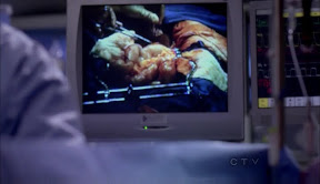 s07e19 anatomy grey