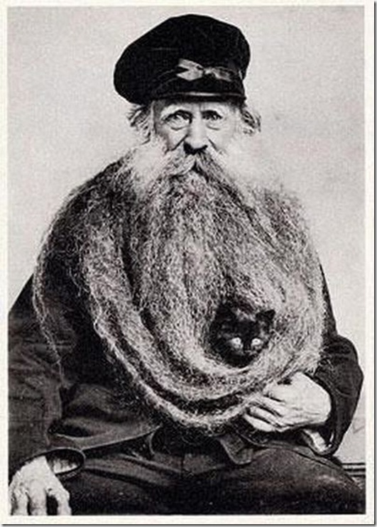 strange-cats-expain-that-enhanced-buzz-9281-1334173319-82