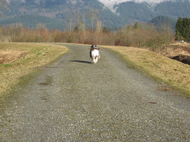 [IMG_6819%255B3%255D.jpg]