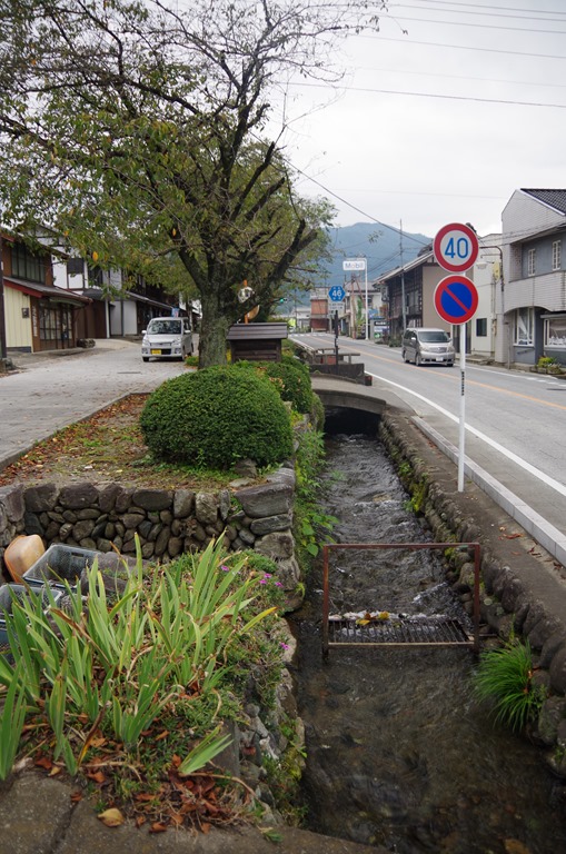 [IMGP10093.jpg]