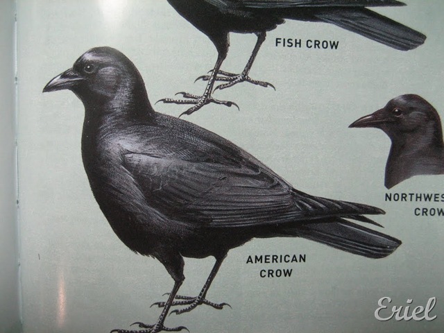 [gG%2520083%255B8%255D.jpg]