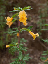 P6055752