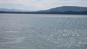 IMG_4146.jpg