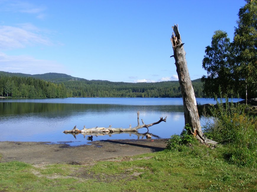 DSCF6419.JPG