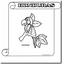 guacamaya honduras blogcolorear 1