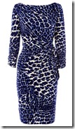 Coast Leopard Print Dress