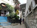 Lamu