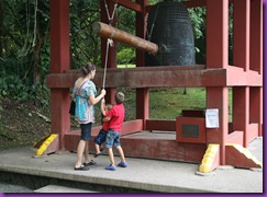 IMG_9462 IMG_9462