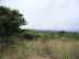 South Africa Day 1 - On Safari
