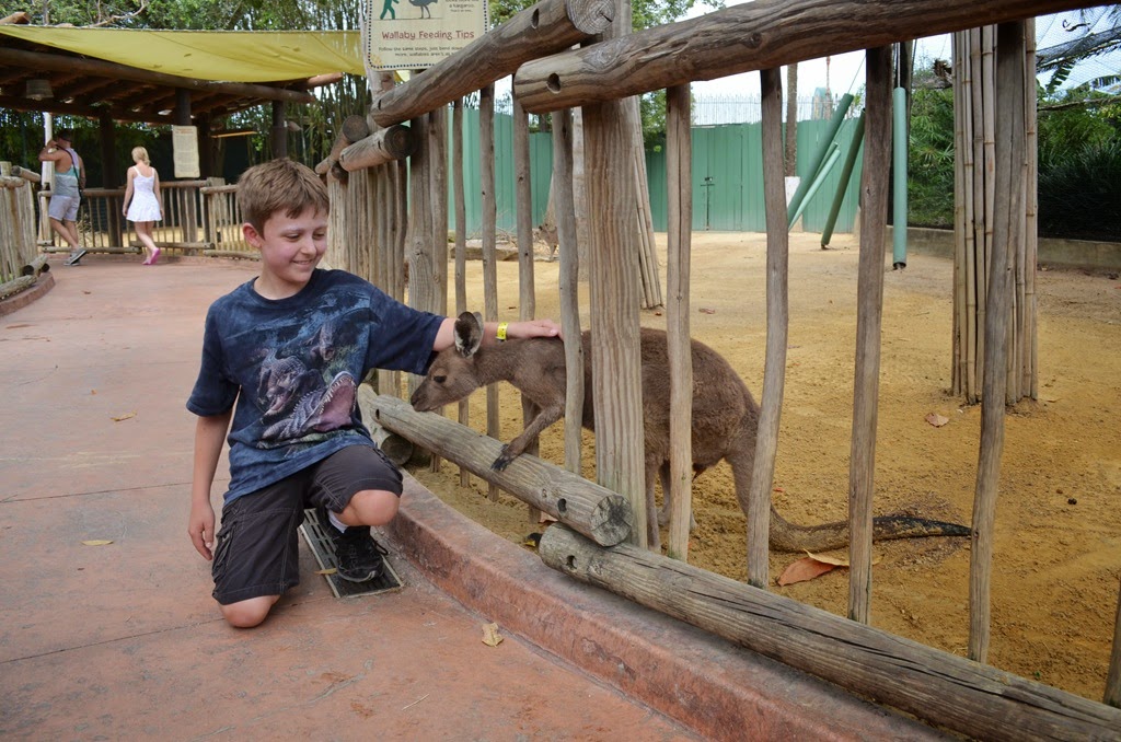 [DSC_8511%255B3%255D.jpg]