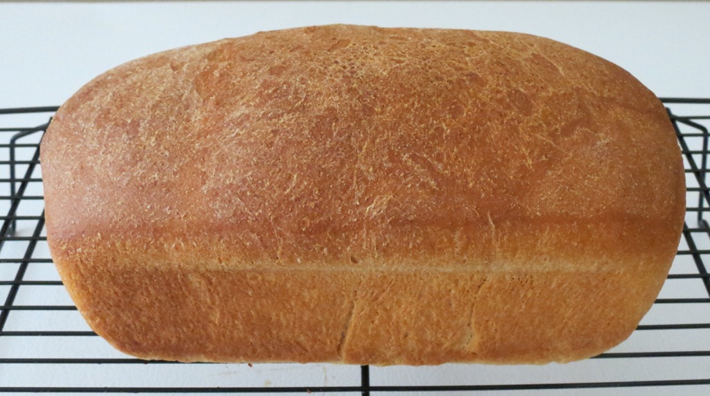 [Whole%2520Wheat%2520Bread%255B4%255D.jpg]