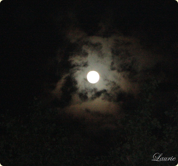 moon w clouds 2