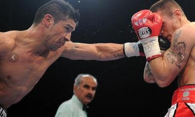 boxeador boxeador