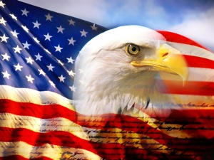 Eagle Stars & Stripes.jpeg