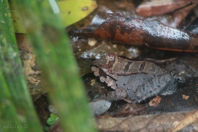 [IMG_1388%255B5%255D.jpg]