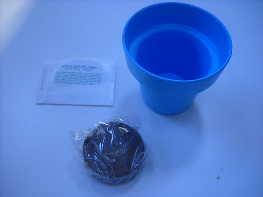 The sunflower kit contents, fresh out of the package. The sunflower kit contents, fresh out of the package.