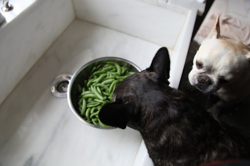 Now here's a bowl of something else that is green!
