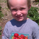 StrawberryPicking