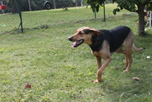k_IMG_0256 k_IMG_0256