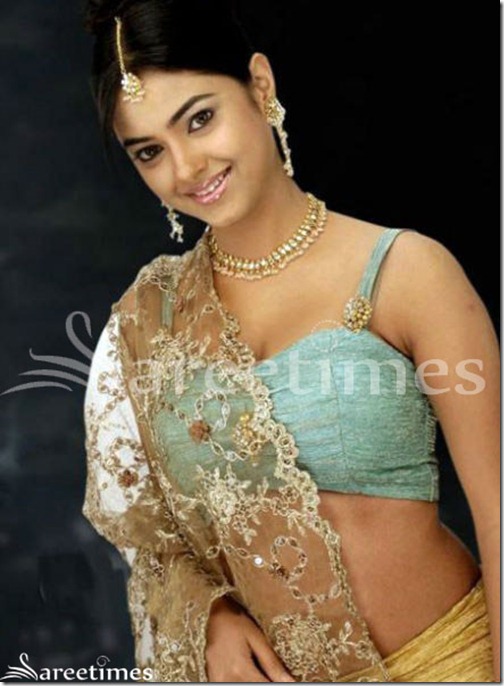 Meera_Chopra_Sleeveless_Saree_Blouse